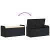 Storage Bench with Cushion Black 45.3"x20.1"x20.5" Poly Rattan